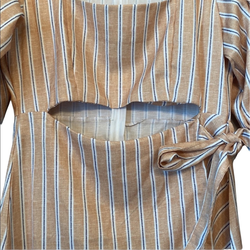 Pink Ripple Camel Striped Zip Back Dress - Picture 3 of 13